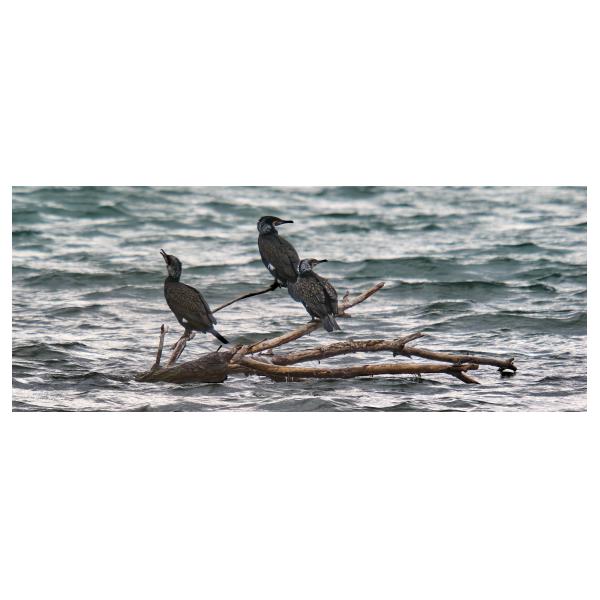 PHOTO84, CLUB, 84 , LUBERON